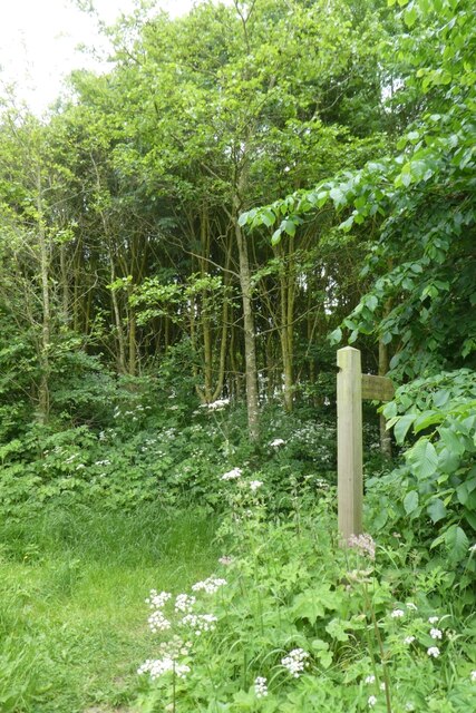 Bridleway Near Flaxby Ds Pugh Geograph Britain And Ireland