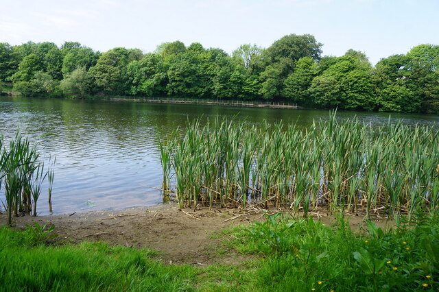 Turf Zone InsideBend Ian S Cc By Sa 2 0 Geograph Britain And Ireland