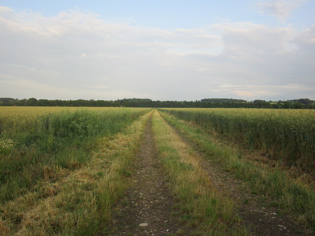 Farm Track And Footpath To Welbourn Jonathan Thacker Geograph