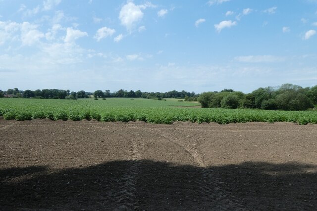 Fields Beside Manor Lane Ds Pugh Geograph Britain And Ireland