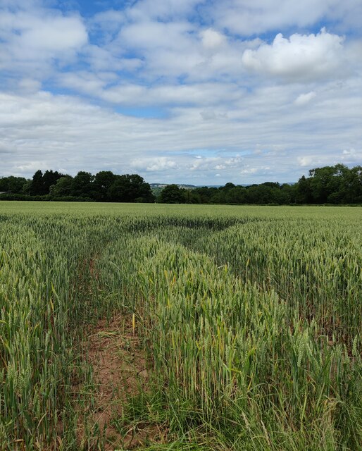 Farmland Near Upper Birch Farm Mat Fascione Cc By Sa Geograph