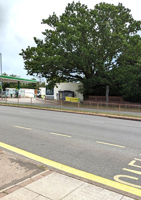 Dominant Tree Malpas Road Newport Jaggery Cc By Sa Geograph