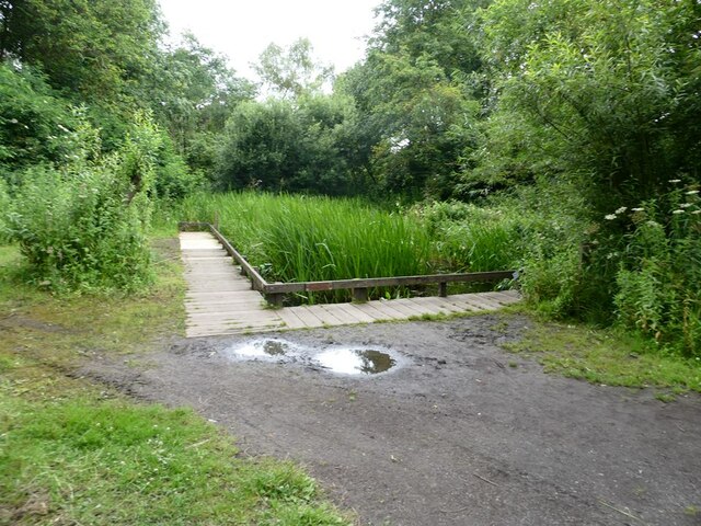 Dipping Pond In Rising Sun Country Park Oliver Dixon Geograph