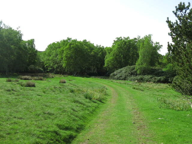 Path Into Pond Wood Mike Quinn Cc By Sa Geograph Britain And