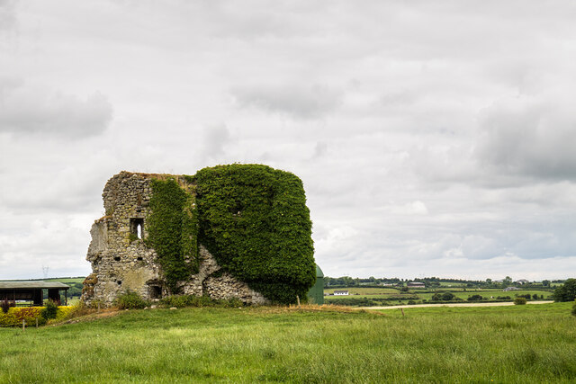 Castles Of Leinster Ballygeehin Laois Mike Searle Geograph Ireland