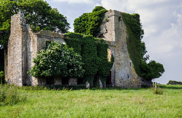 Castles Of Leinster Garryhiggin Mike Searle Geograph Ireland