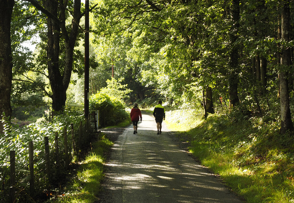 Walkers In The Woods Andy Beecroft Cc By Sa 2 0 Geograph Britain