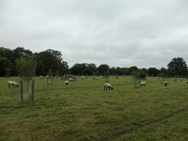 View From Hanbury Hall Car Park David Bremner Cc By Sa