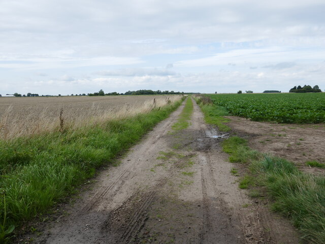 Farm Track Near Trevethoe Farm Jonathan Thacker Geograph Britain