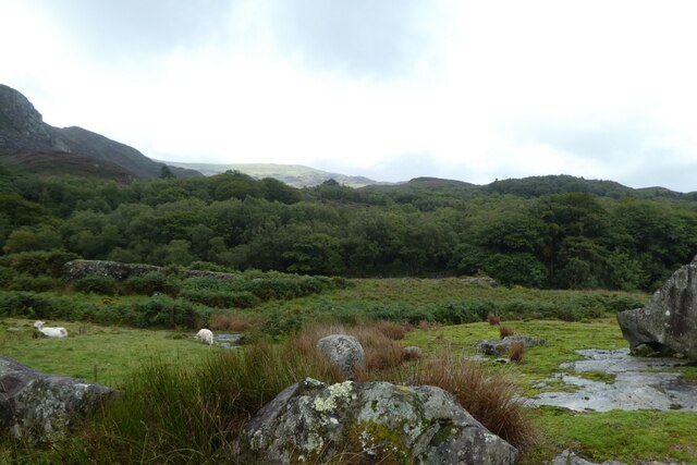 Moorland Near Llyn Cwm Bychan DS Pugh Geograph Britain And Ireland