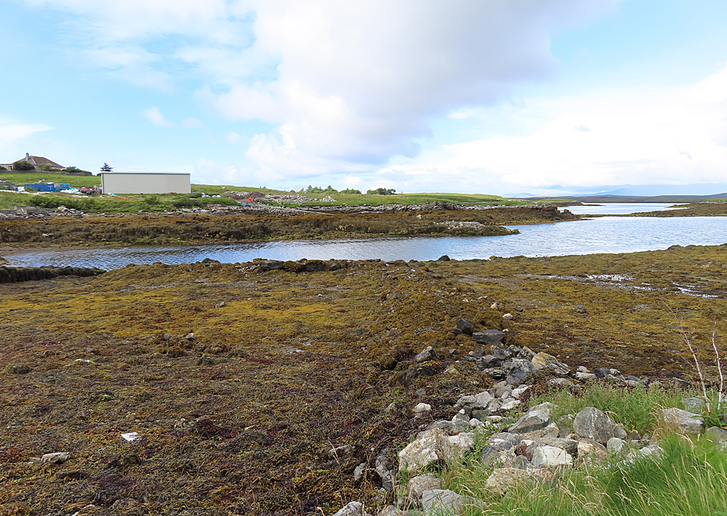 Seaweed At Lochmaddy Anne Burgess Geograph Britain And Ireland