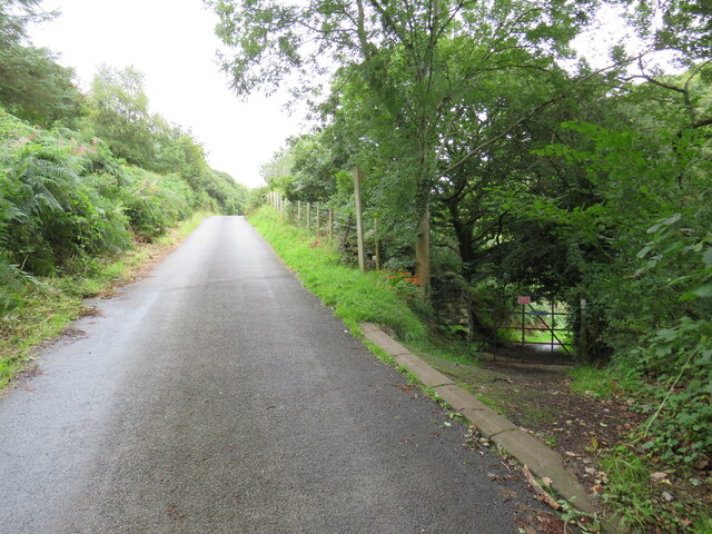 Minor Lane Near Barmouth Malc McDonald Cc By Sa 2 0 Geograph