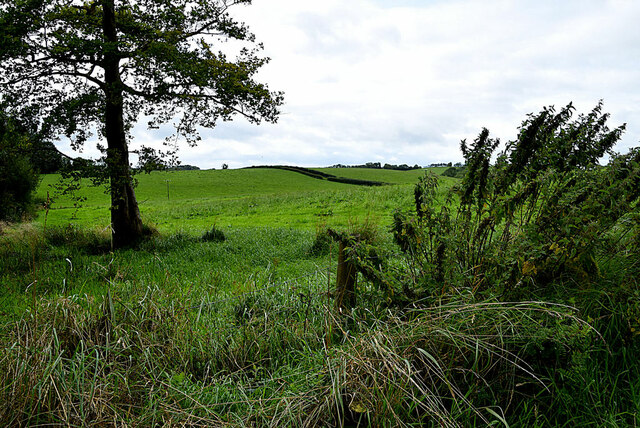 Stroancarbadagh Townland Kenneth Allen Cc By Sa 2 0 Geograph Ireland