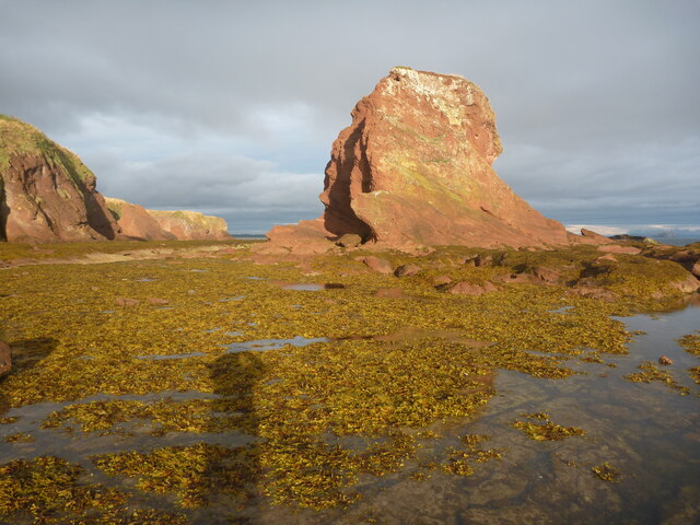 Coastal East Lothian Pin Cod Dunbar Richard West Geograph