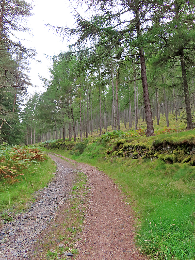 Track On Birsemore Hill Anne Burgess Geograph Britain And Ireland