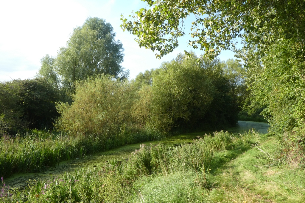 Path Beside Beverley And Barmston Drain DS Pugh Cc By Sa 2 0