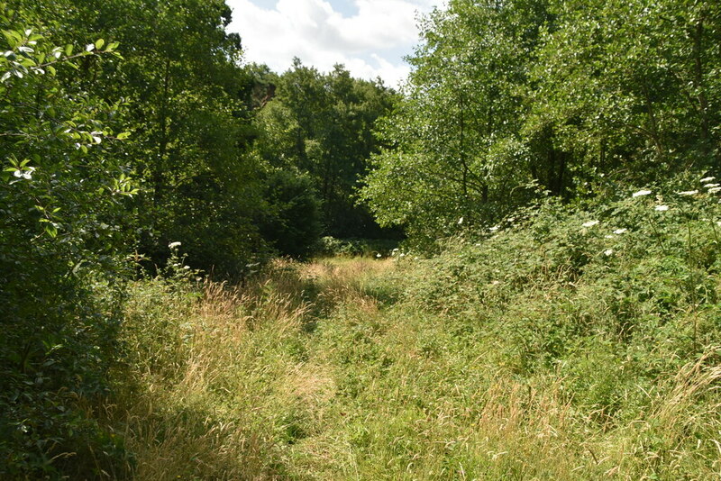 Footpath To Catsfield Place N Chadwick Cc By Sa Geograph