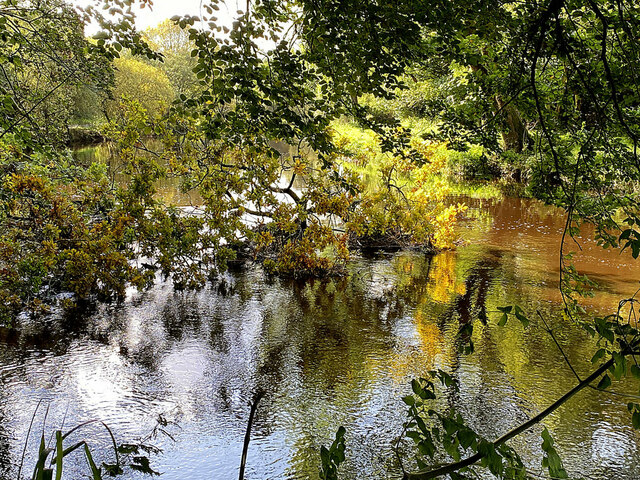 Fallen Tree Camowen River Mullaghmore Kenneth Allen Cc By Sa