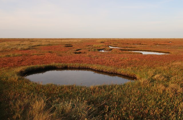 Warham Salt Marshes Hugh Venables Cc By Sa Geograph Britain