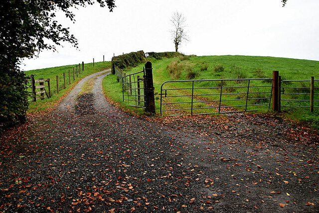 Lane Cavanacaw Lower Kenneth Allen Cc By Sa Geograph Ireland