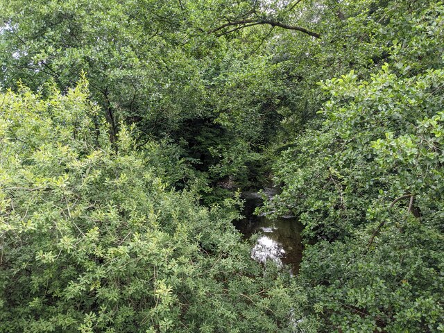 The Tree Shrouded Afon Hafren David Medcalf Geograph Britain And