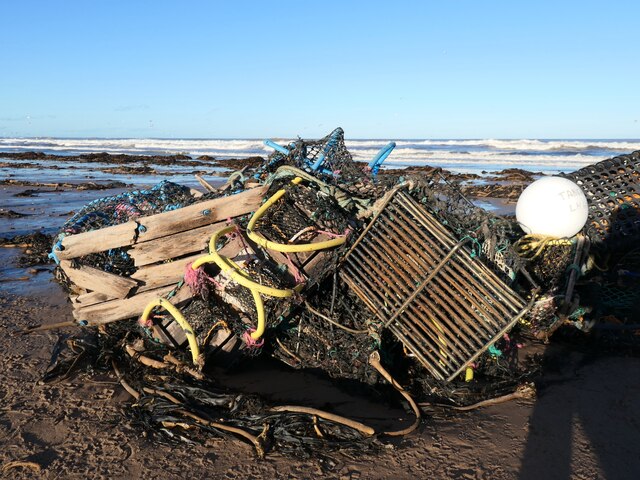 Coastal East Lothian Tangled Up In Richard West Cc By Sa 2 0