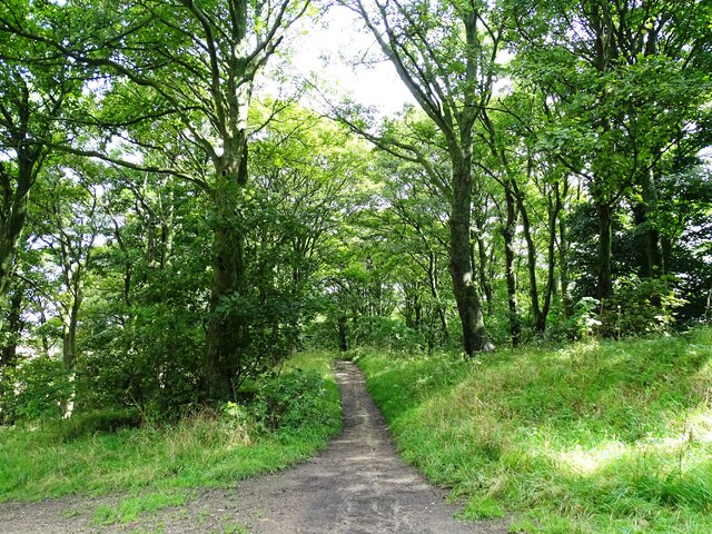 Footpath Through The Trees Robert Graham Cc By Sa Geograph