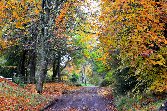 Autumn Colours On The Drove Road West Jim Barton Cc By Sa 2 0