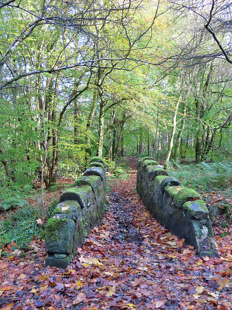 Footbridge Anne Burgess Geograph Britain And Ireland