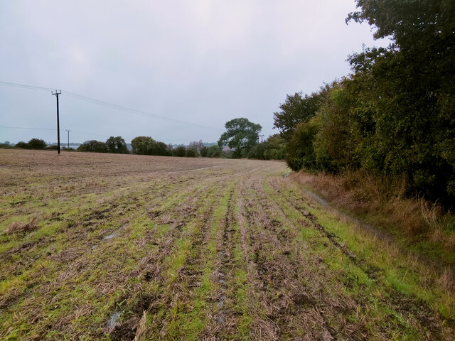 In A Field Beside Tiptofts Lane Chris Heaton Cc By Sa Geograph