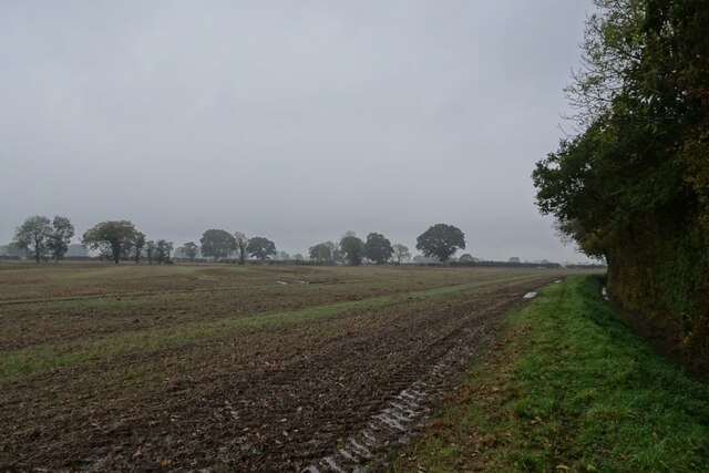 Path Beside Wilstrop Wood DS Pugh Cc By Sa 2 0 Geograph Britain