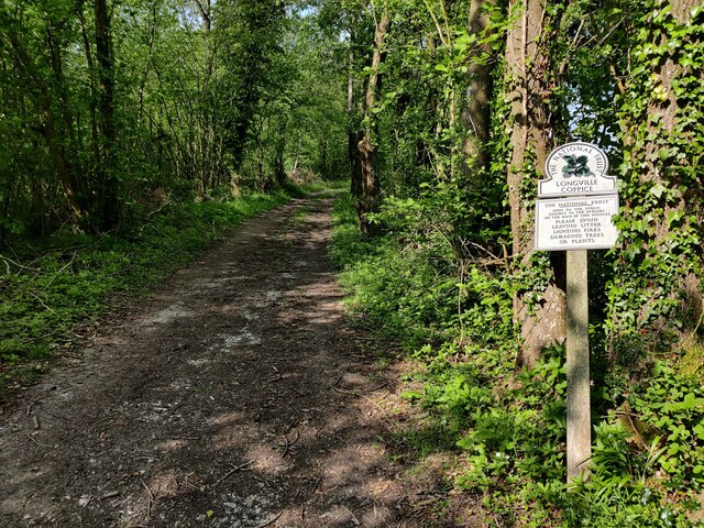 The Jack Mytton Way In Longville Coppice Mat Fascione Cc By Sa