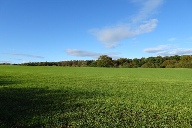 Fields North Of A Bridleway DS Pugh Geograph Britain And Ireland