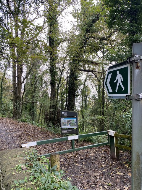 Footpath Into Nicholaston Woods Alan Hughes Cc By Sa Geograph