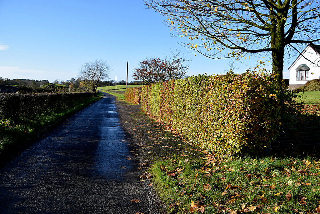 Killyburn Road Kenneth Allen Geograph Britain And Ireland