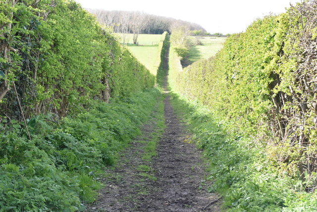 Straight Bridleway N Chadwick Cc By Sa Geograph Britain And