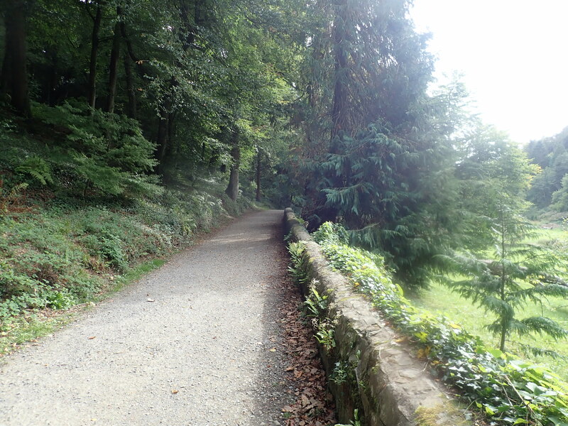 Path In The Colby Woodland Garden Eirian Evans Cc By Sa 2 0