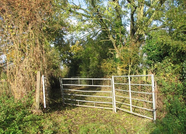 Cattle Pen Evelyn Simak Geograph Britain And Ireland