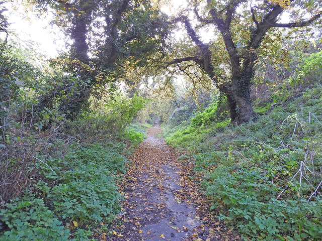 Rigbourne Hill Lane Beccles Adrian S Pye Cc By Sa Geograph