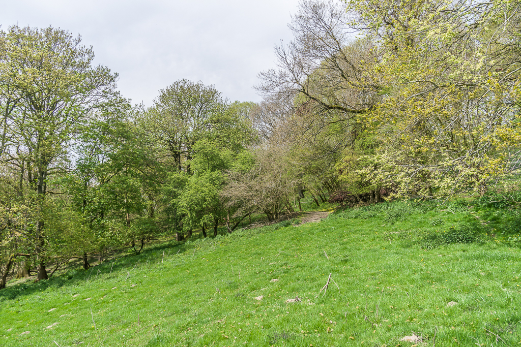 Below View Wood Ian Capper Cc By Sa 2 0 Geograph Britain And Ireland