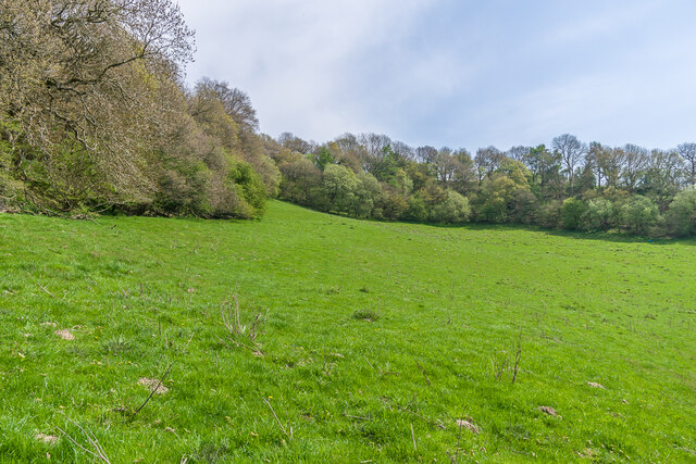 Below View Wood Ian Capper Geograph Britain And Ireland