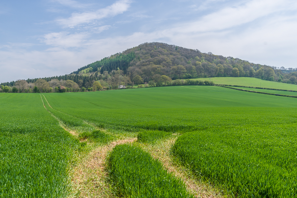 Towards View Edge Ian Capper Cc By Sa 2 0 Geograph Britain And Ireland