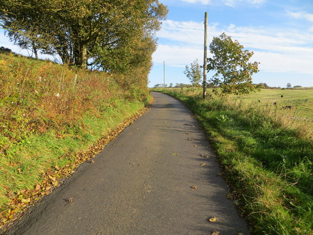 Minor Road Beside Quarry Plantation Peter Wood Cc By Sa