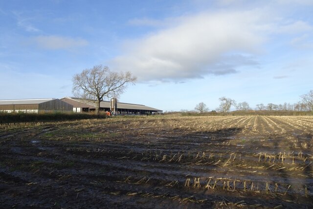 Field Near White House Farm DS Pugh Geograph Britain And Ireland