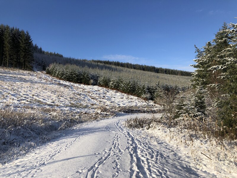 Forestry Cloich Richard Webb Cc By Sa 2 0 Geograph Britain And