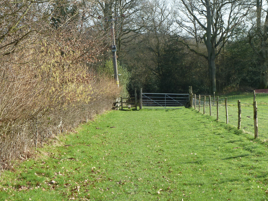 Public Footpath Shere Robin Webster Cc By Sa Geograph