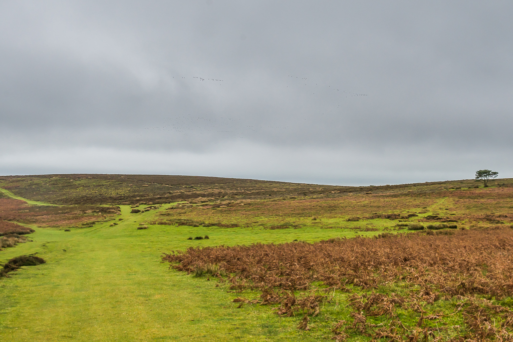 Round Hill Ian Capper Cc By Sa 2 0 Geograph Britain And Ireland