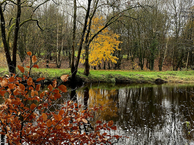 Colourful Leaves Along The Camowen River Kenneth Allen Cc By Sa 2 0