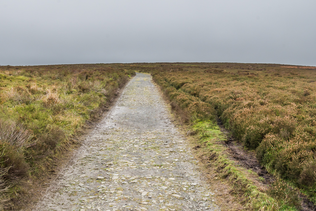 The Port Way Ian Capper Geograph Britain And Ireland