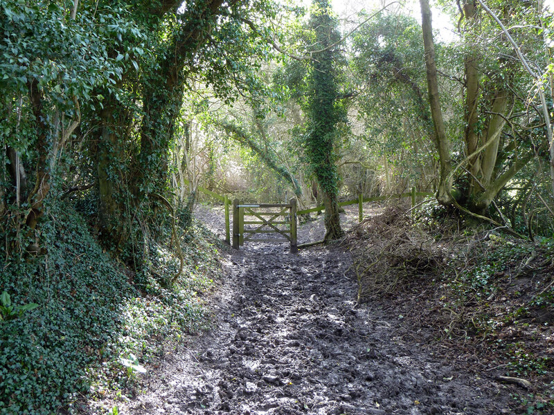 Bridleway 2251 Storrington And Robin Webster Cc By Sa 2 0